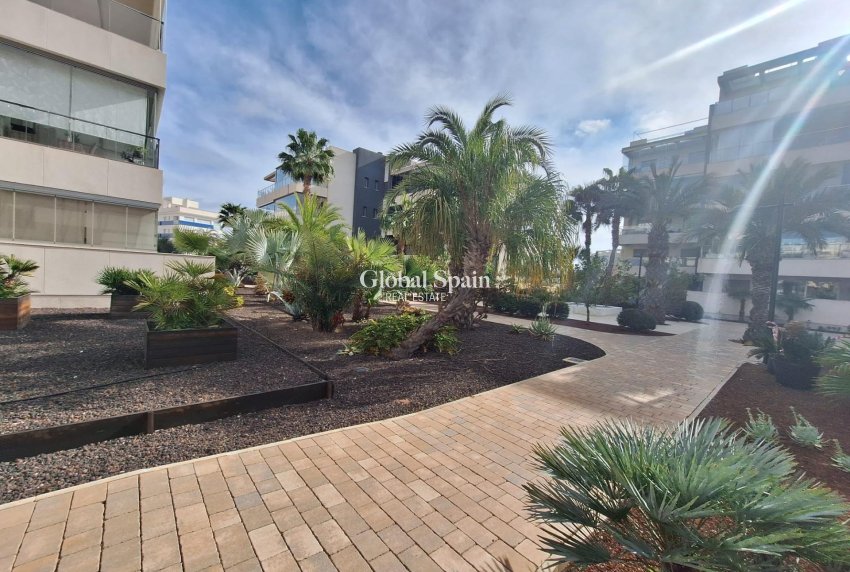 Wederverkoop - APPARTEMENT -
ORIHUELA COSTA - Los Dolses