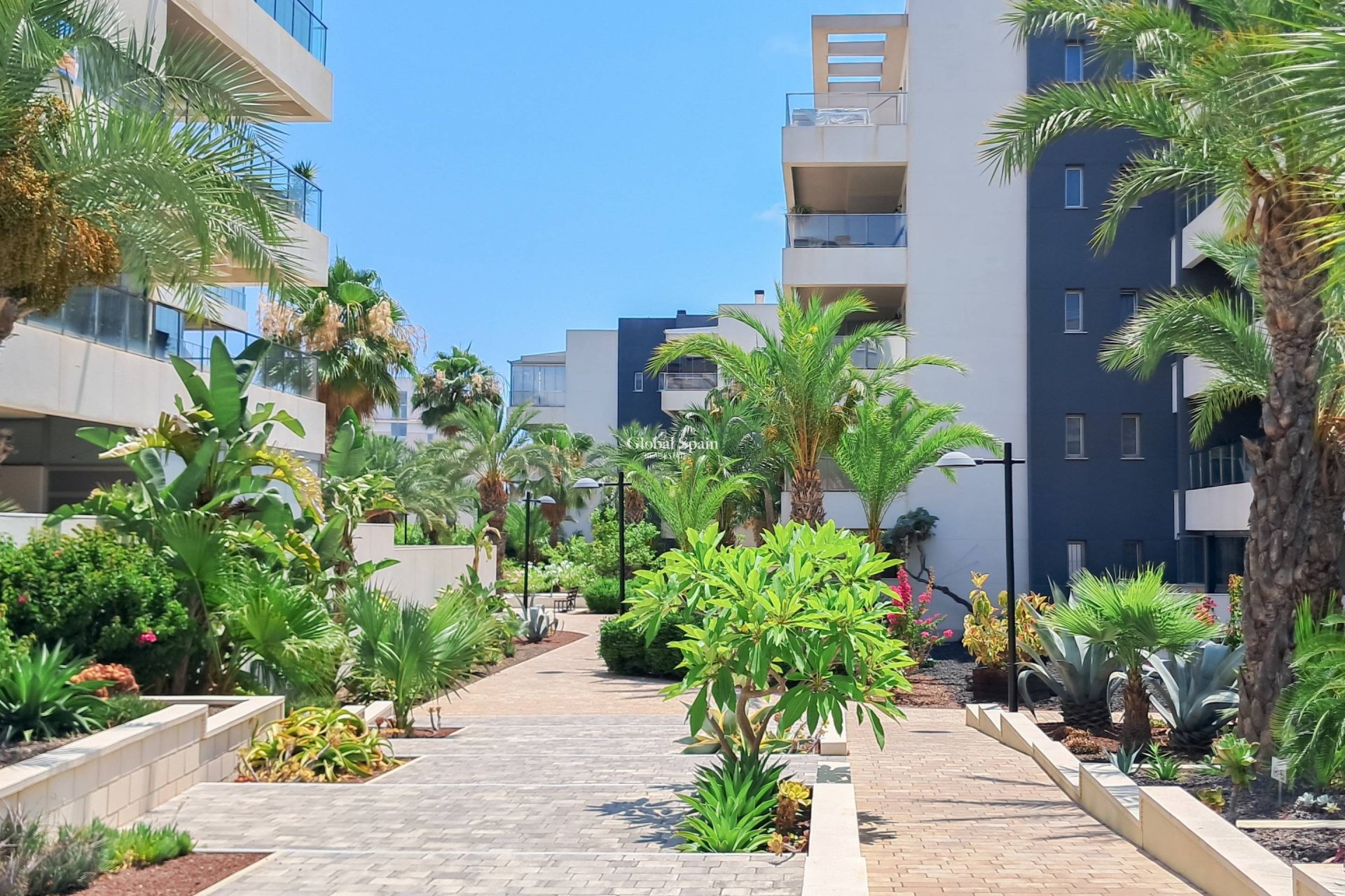 Wederverkoop - APPARTEMENT -
ORIHUELA COSTA - Los Dolses