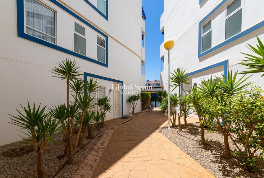 Wederverkoop - APPARTEMENT -
ORIHUELA COSTA - Orihuela Costa