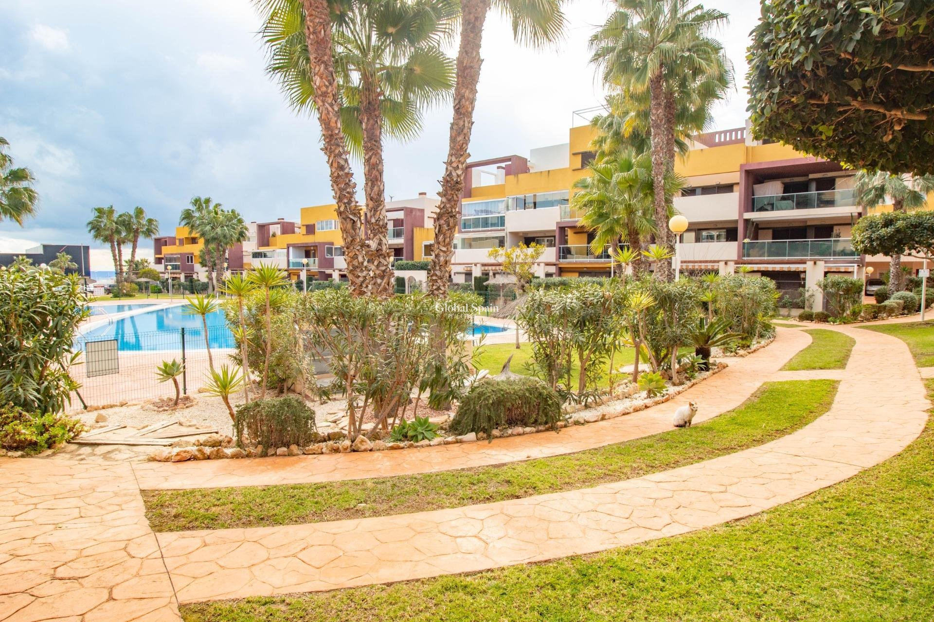 Wederverkoop - APPARTEMENT -
ORIHUELA COSTA - Playa Flamenca