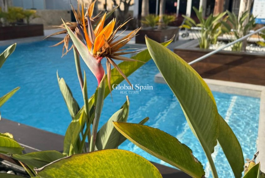 Wederverkoop - APPARTEMENT -
ORIHUELA COSTA - Rocio Del Mar