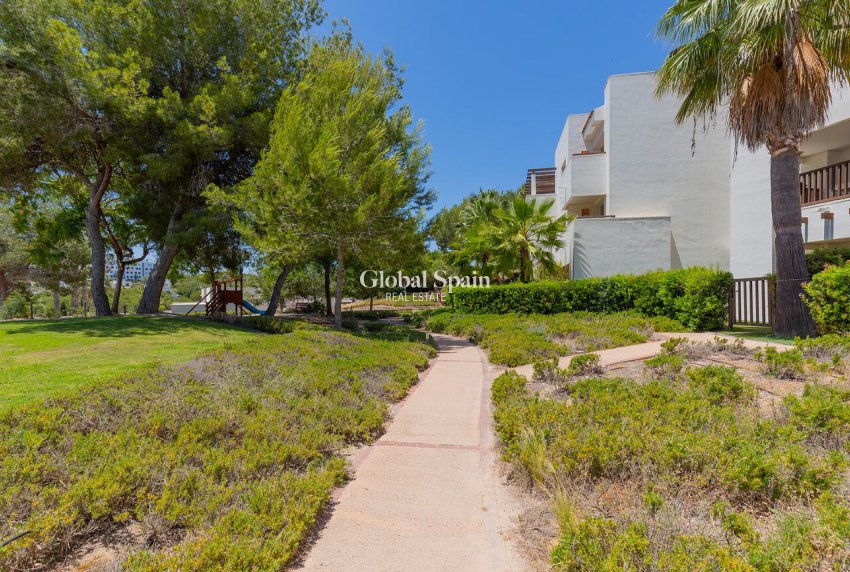 Wederverkoop - APPARTEMENT -
ORIHUELA - Las Colinas