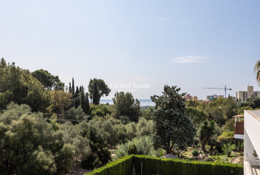 Wederverkoop - Appartement -
Palma De Mallorca - optional location detail