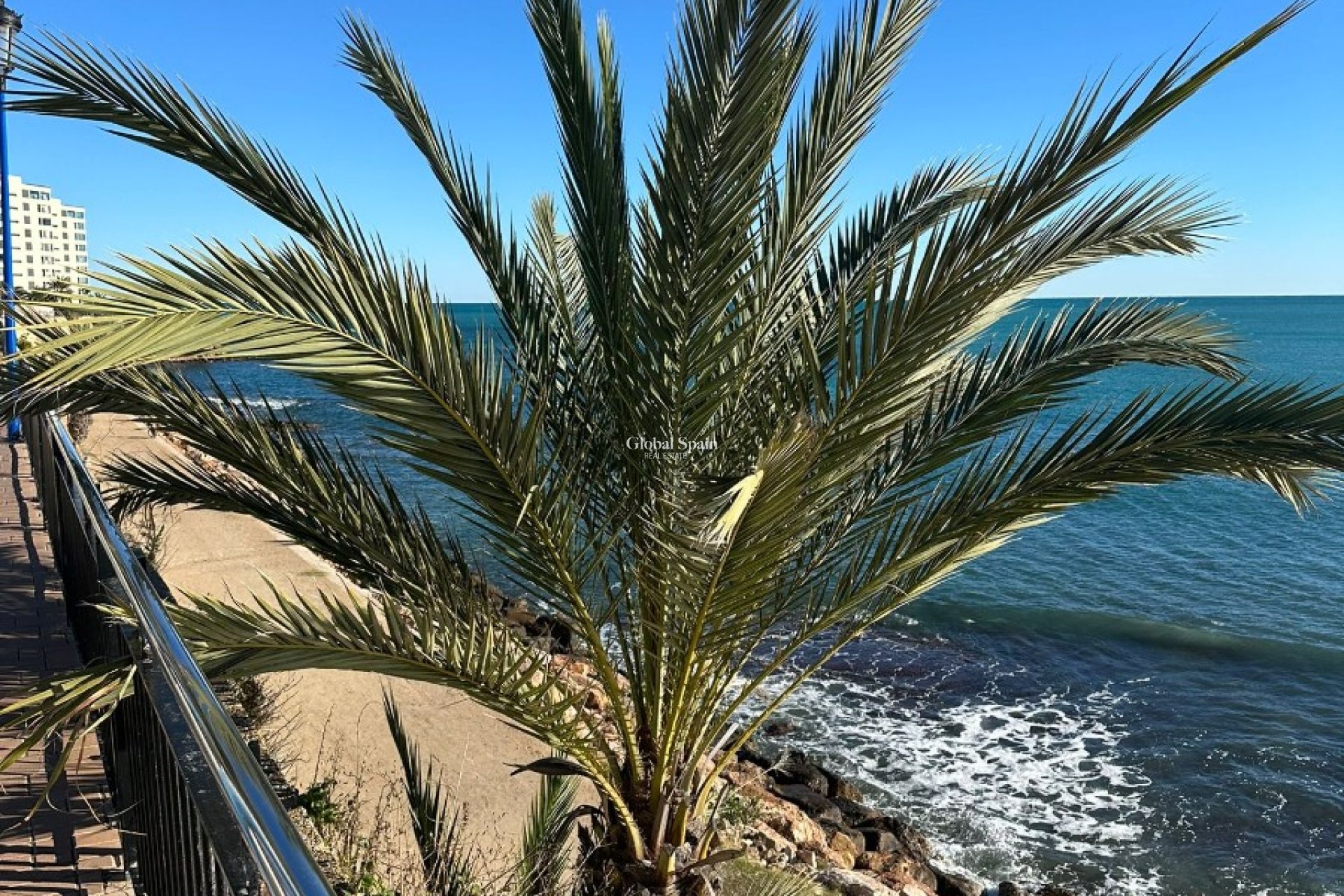 Wederverkoop - APPARTEMENT -
PUNTA PRIMA - Costa Blanca