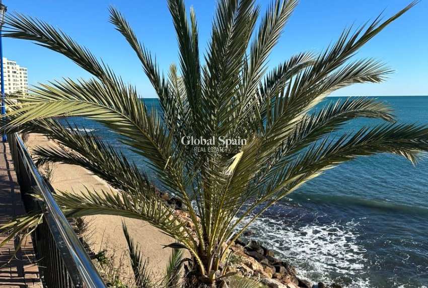 Wederverkoop - APPARTEMENT -
PUNTA PRIMA - Costa Blanca