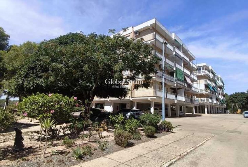 Wederverkoop - APPARTEMENT -
PUNTA PRIMA - Costa Blanca