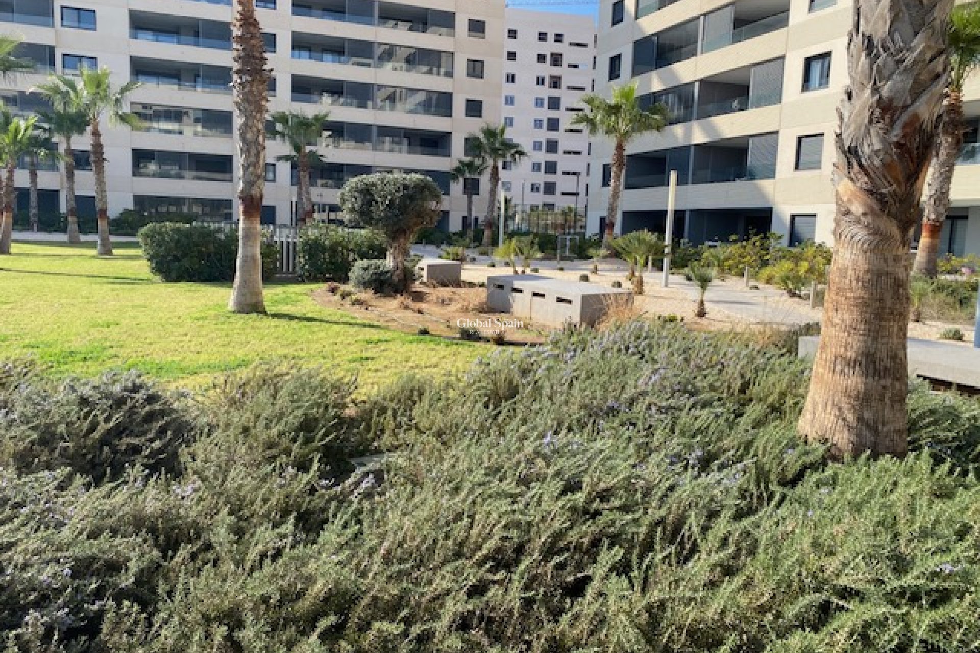 Wederverkoop - APPARTEMENT -
PUNTA PRIMA - Panorama Park