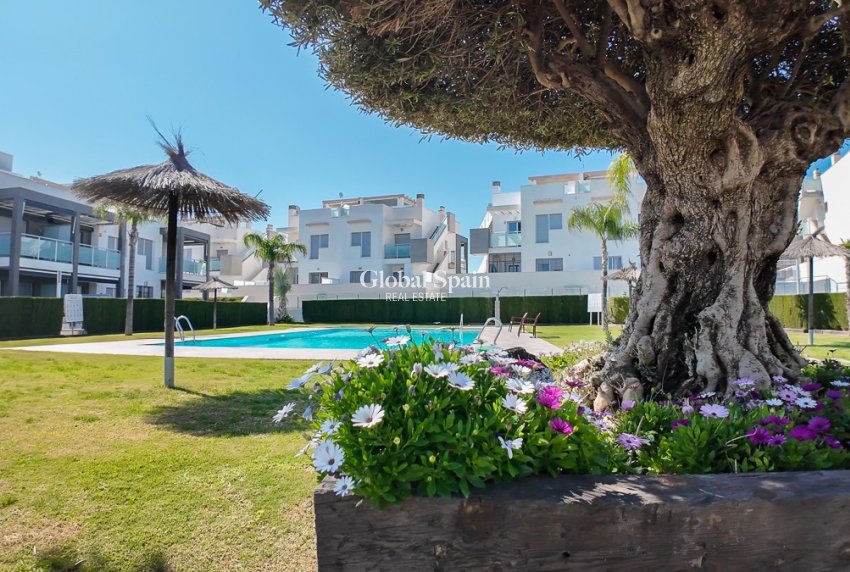 Wederverkoop - Appartement -
PUNTA PRIMA