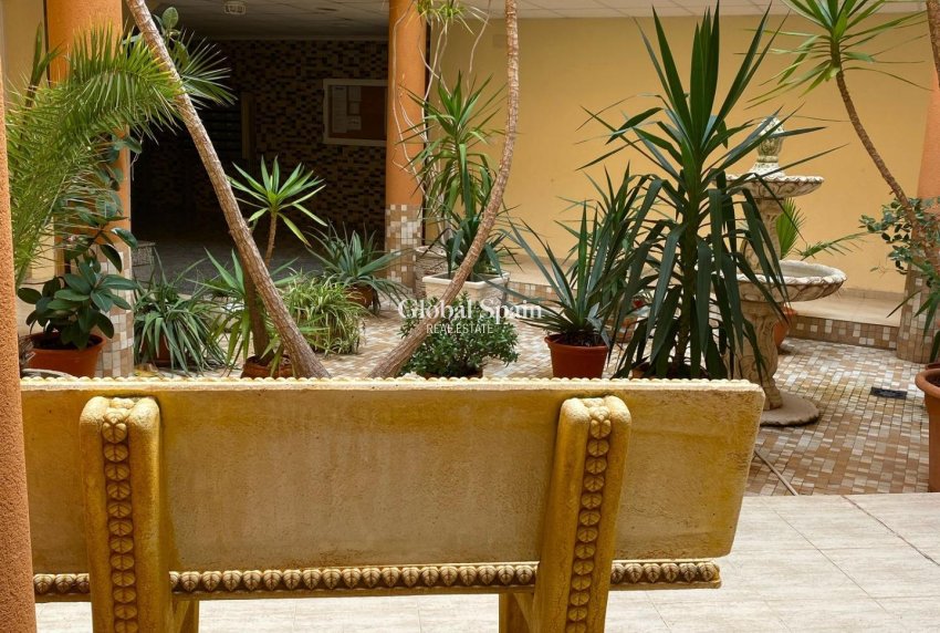 Wederverkoop - APPARTEMENT -
SAN MIGUEL DE SALINAS - Pueblo 9