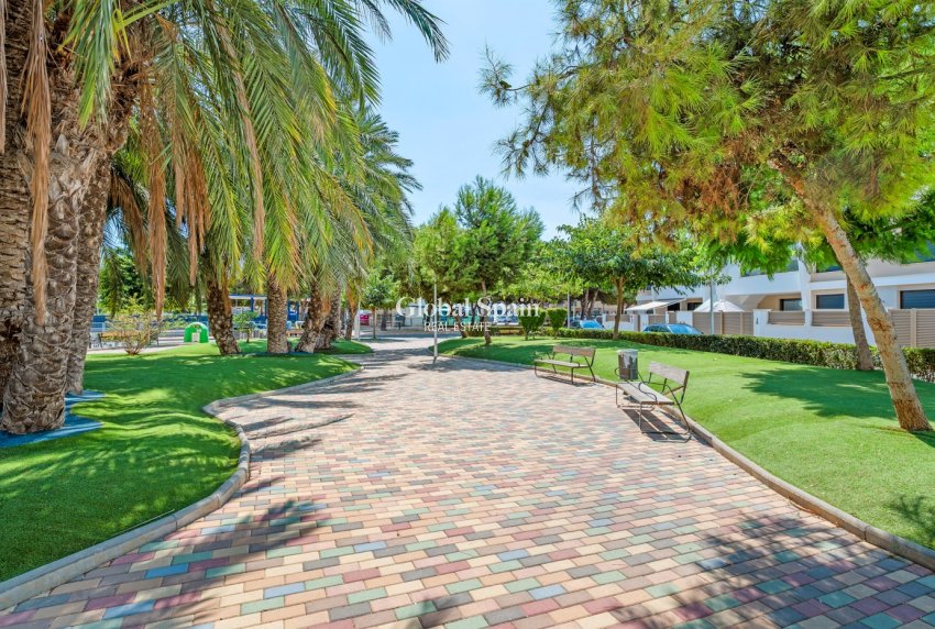 Wederverkoop - APPARTEMENT -
SAN PEDRO DEL PINATAR - San Pedro Del Pinatar Centro