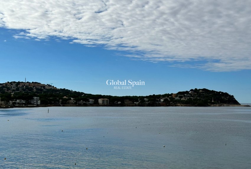 Wederverkoop - APPARTEMENT -
Santa Ponsa