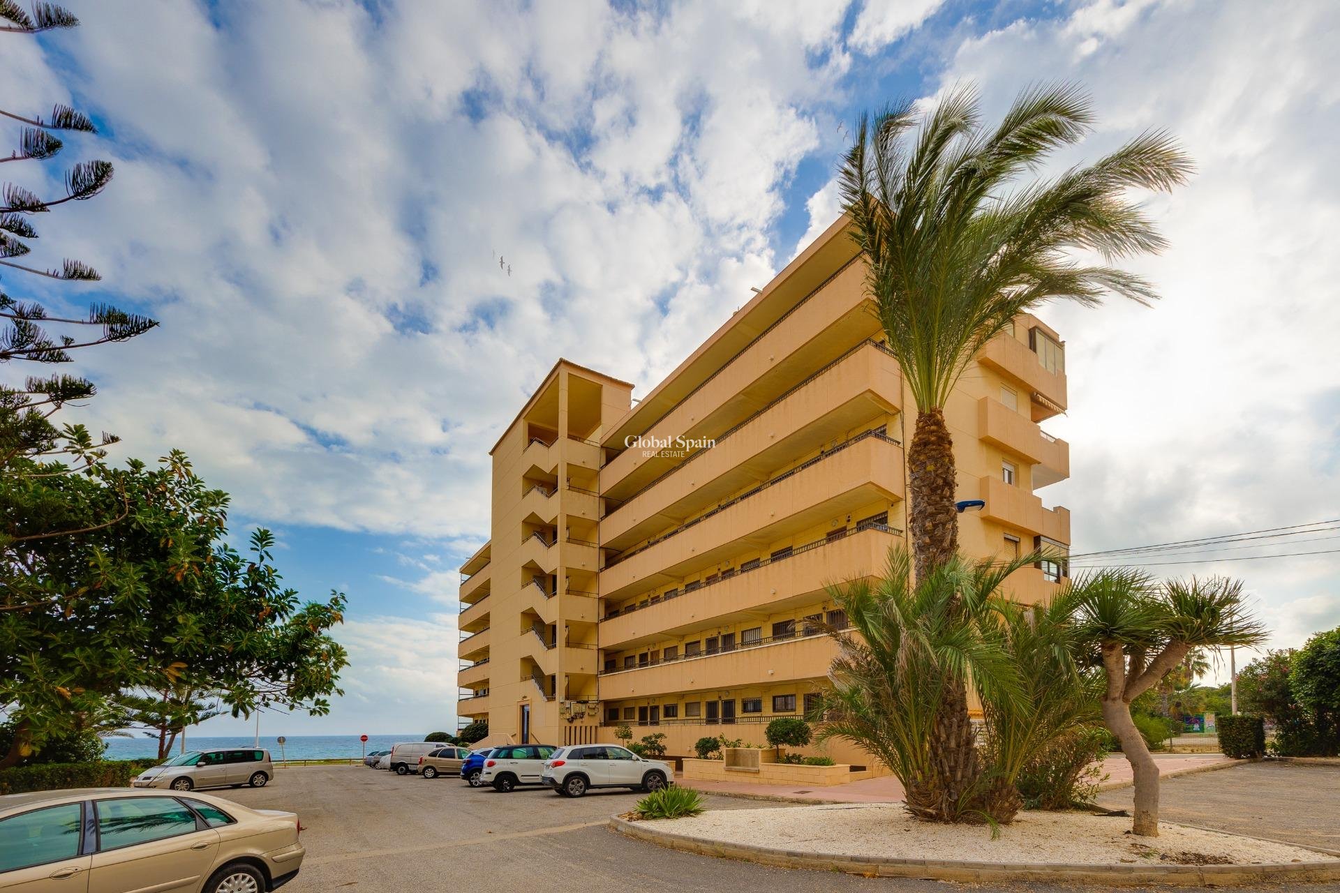 Wederverkoop - APPARTEMENT -
TORREVIEJA - Cabo Cervera