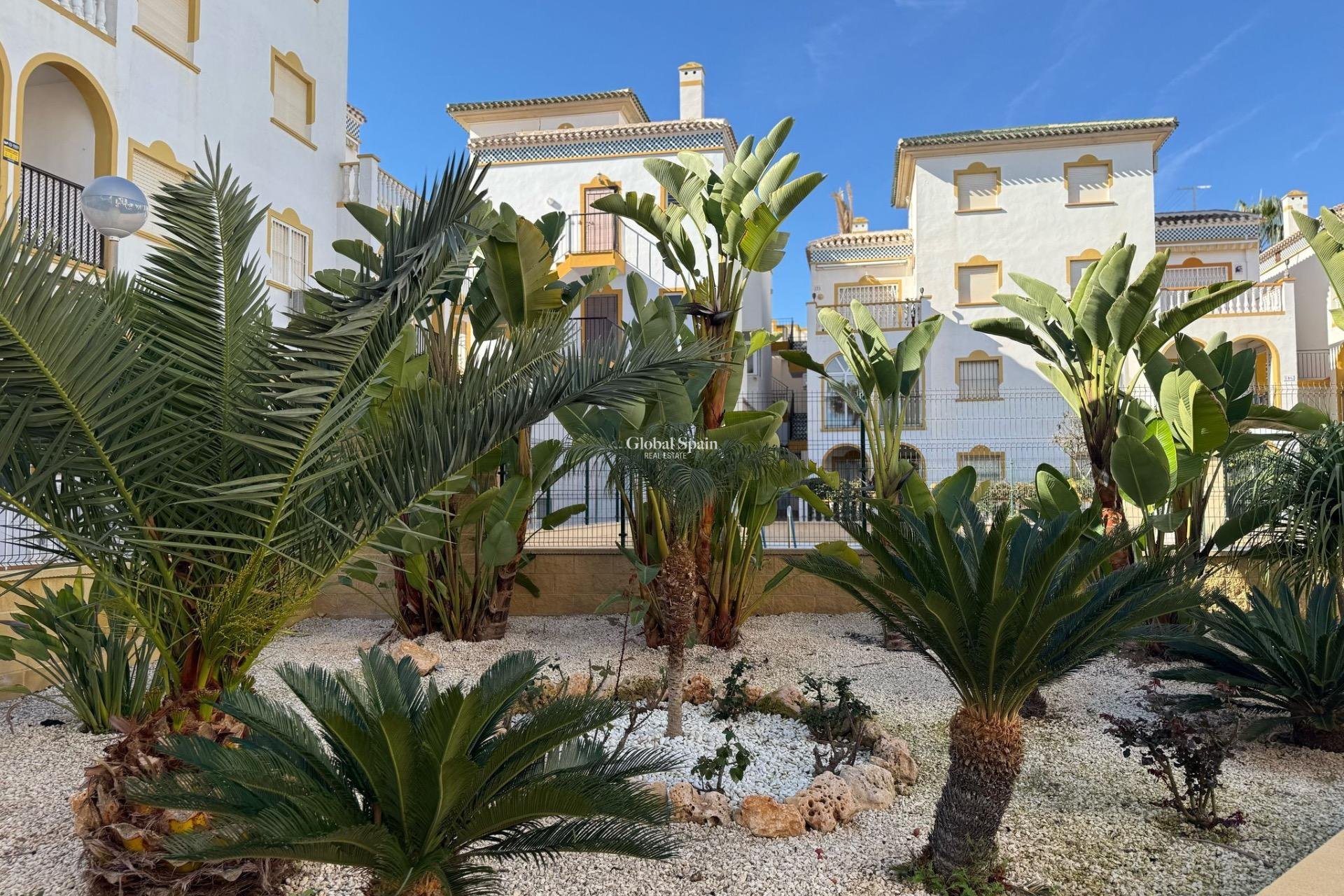 Wederverkoop - APPARTEMENT -
TORREVIEJA - Cañada Del Molino