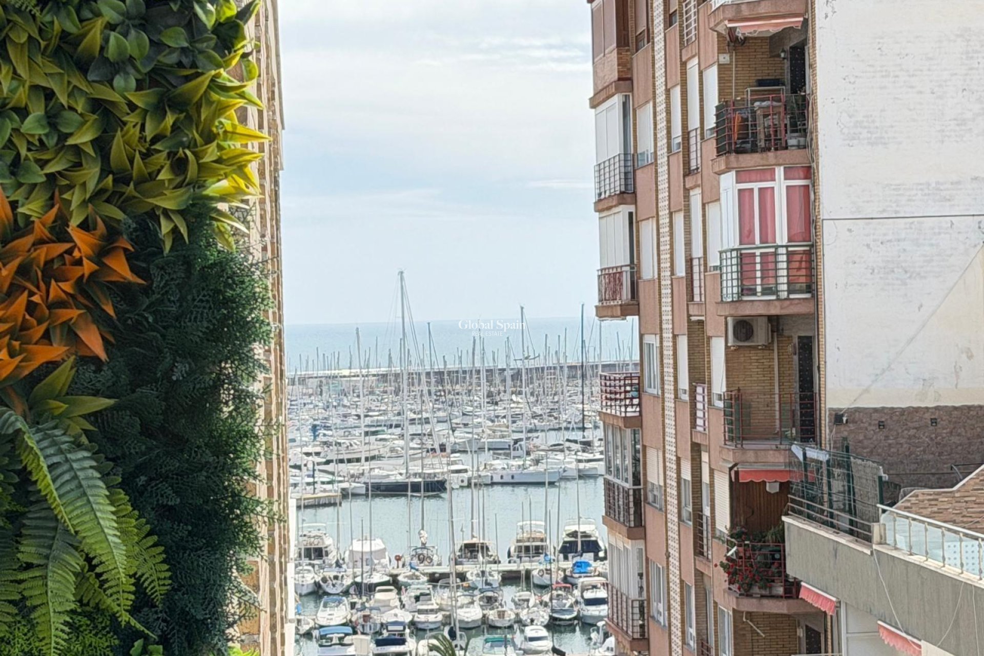 Wederverkoop - APPARTEMENT -
TORREVIEJA - Center