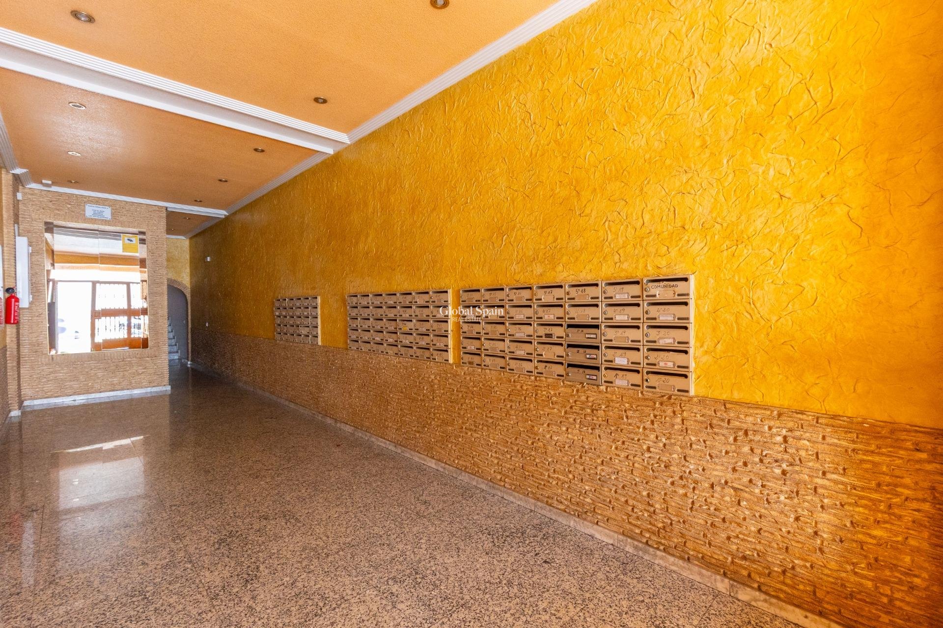 Wederverkoop - APPARTEMENT -
TORREVIEJA - Centro - Muelle Pesquero