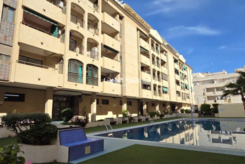 Wederverkoop - APPARTEMENT -
TORREVIEJA - Costa Blanca