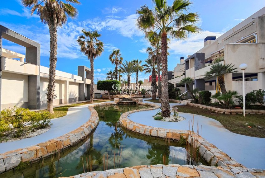 Wederverkoop - APPARTEMENT -
TORREVIEJA - Costa Blanca