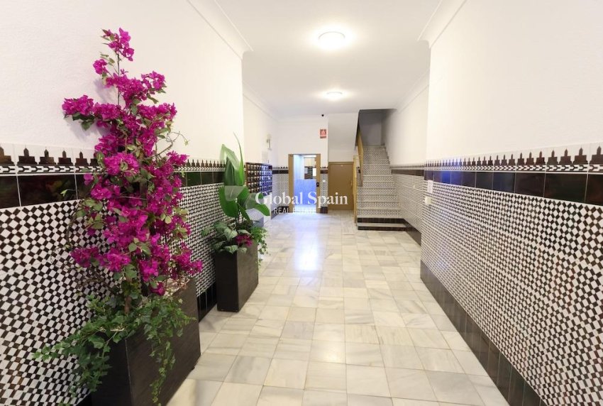 Wederverkoop - APPARTEMENT -
TORREVIEJA - Costa Blanca