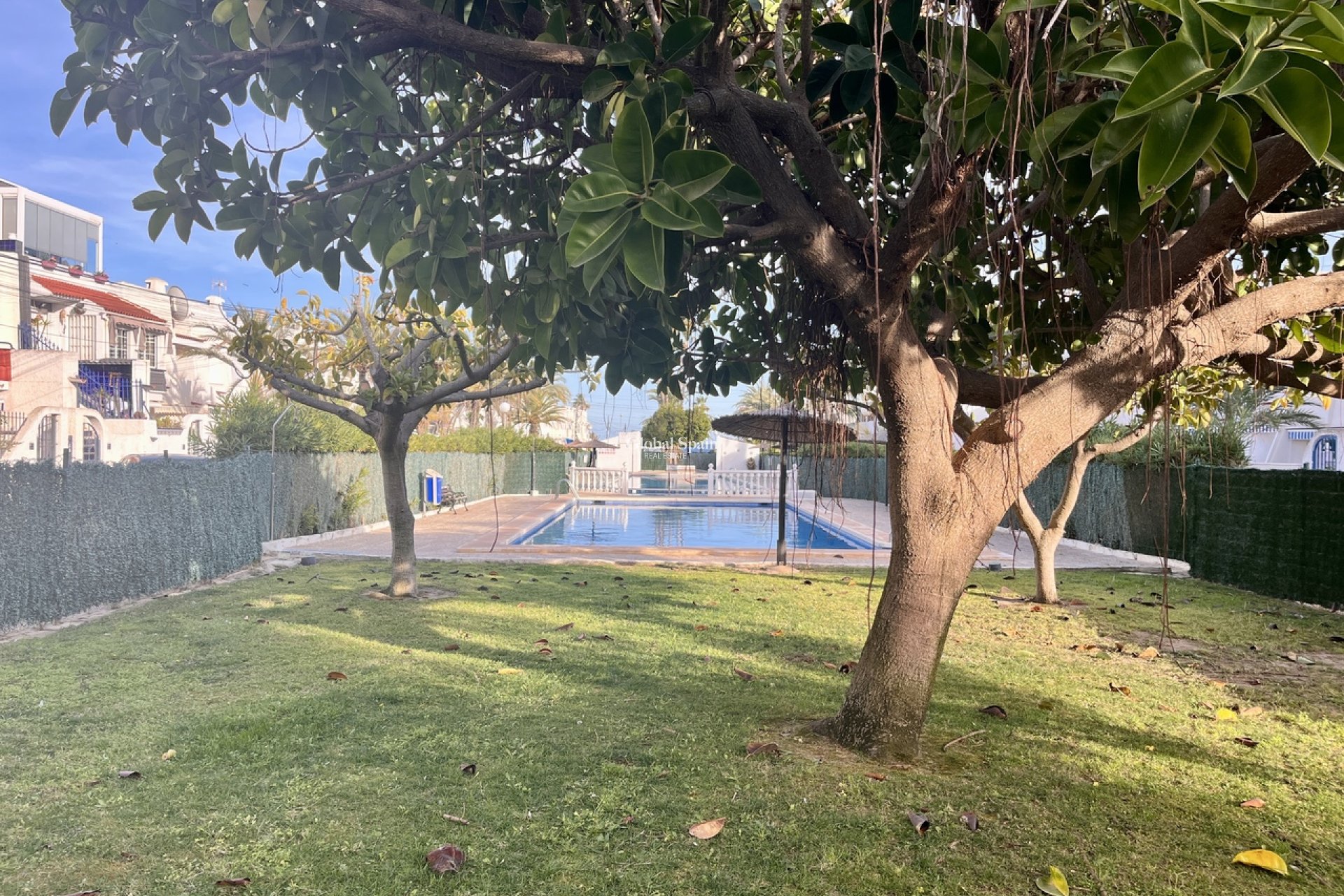 Wederverkoop - APPARTEMENT -
TORREVIEJA - Costa Blanca