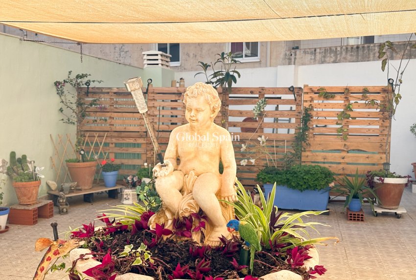 Wederverkoop - APPARTEMENT -
TORREVIEJA - Costa Blanca