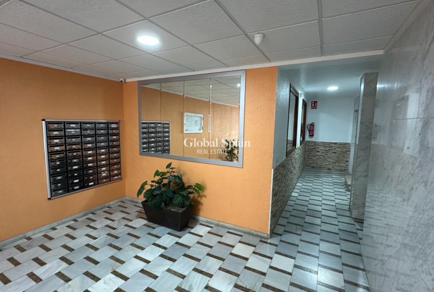 Wederverkoop - APPARTEMENT -
TORREVIEJA - Costa Blanca