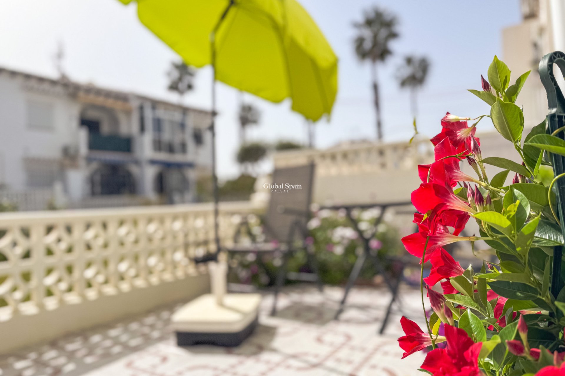 Wederverkoop - APPARTEMENT -
TORREVIEJA - Costa Blanca