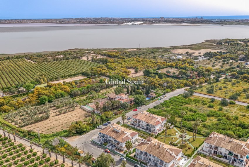 Wederverkoop - APPARTEMENT -
TORREVIEJA - Costa Blanca