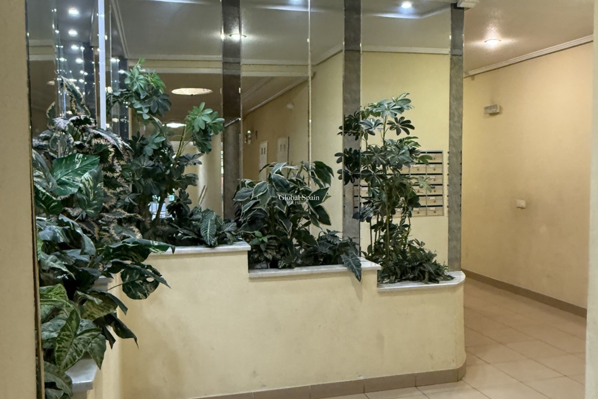 Wederverkoop - APPARTEMENT -
TORREVIEJA - Costa Blanca