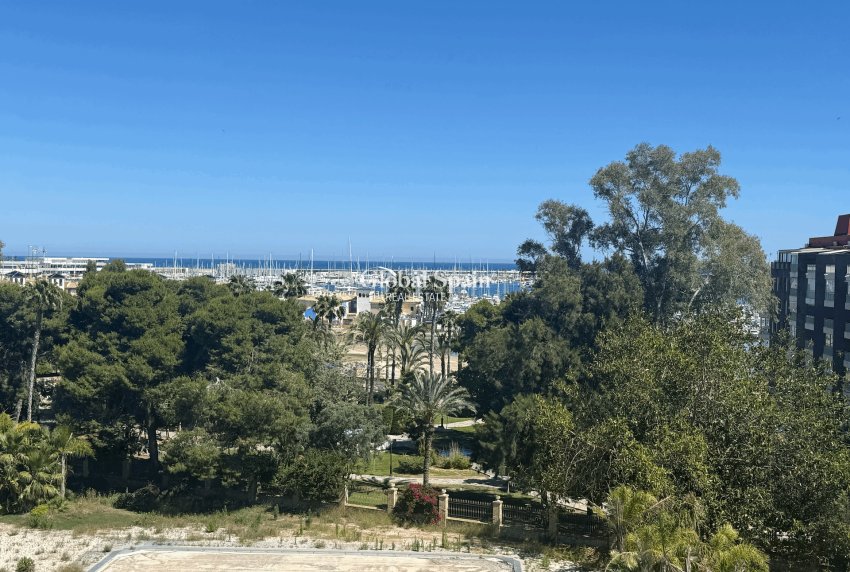 Wederverkoop - APPARTEMENT -
TORREVIEJA - Costa Blanca