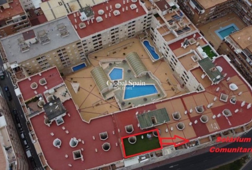 Wederverkoop - APPARTEMENT -
TORREVIEJA - Costa Blanca