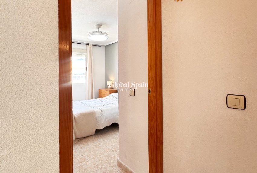 Wederverkoop - APPARTEMENT -
TORREVIEJA - Costa Blanca