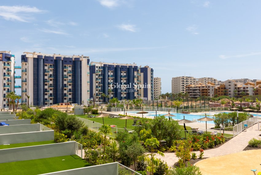 Wederverkoop - APPARTEMENT -
TORREVIEJA - Costa Blanca