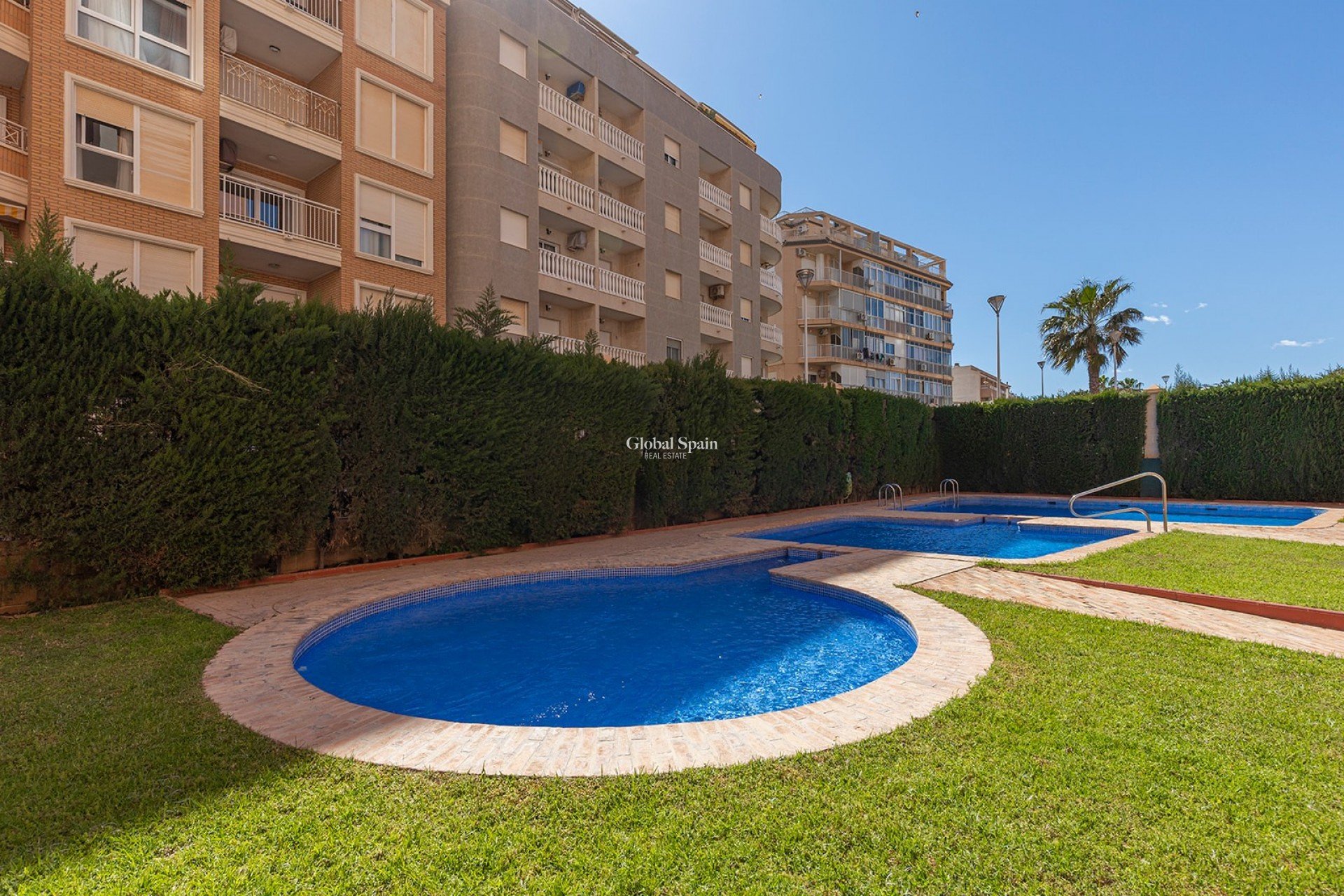 Wederverkoop - APPARTEMENT -
TORREVIEJA - Costa Blanca
