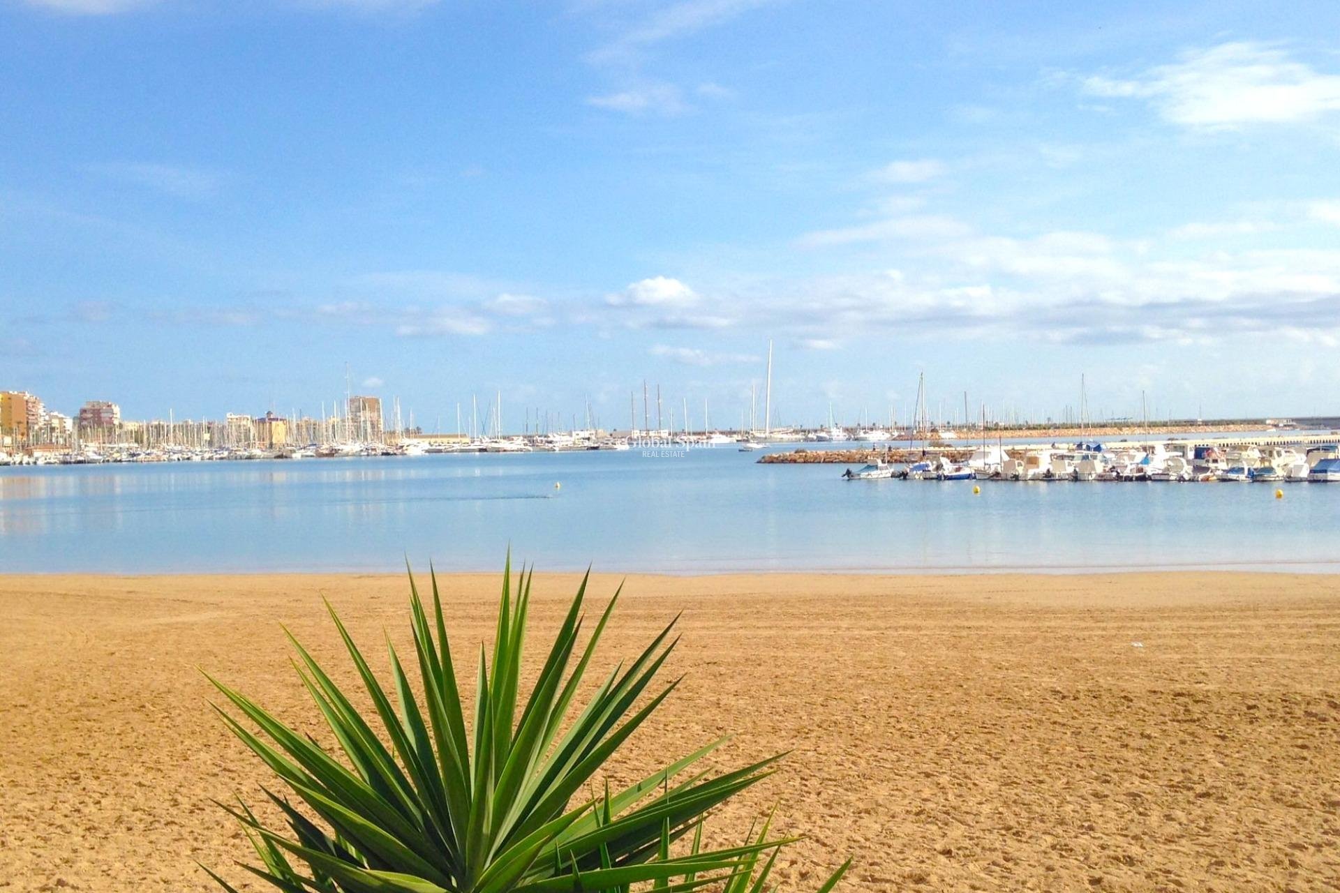 Wederverkoop - APPARTEMENT -
TORREVIEJA - El Acequión - Los Náufragos