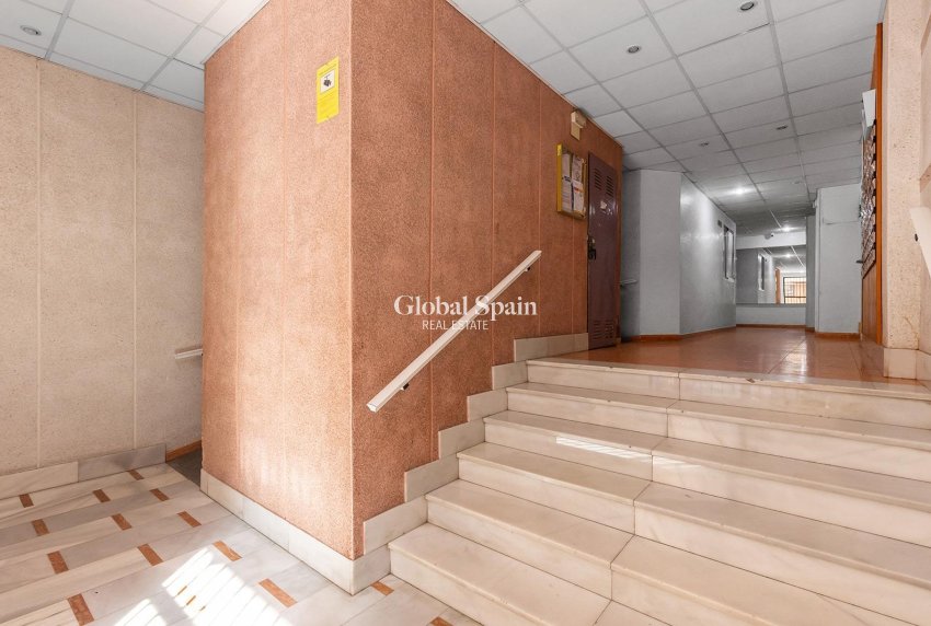 Wederverkoop - Appartement -
TORREVIEJA - Estacion de autobuses