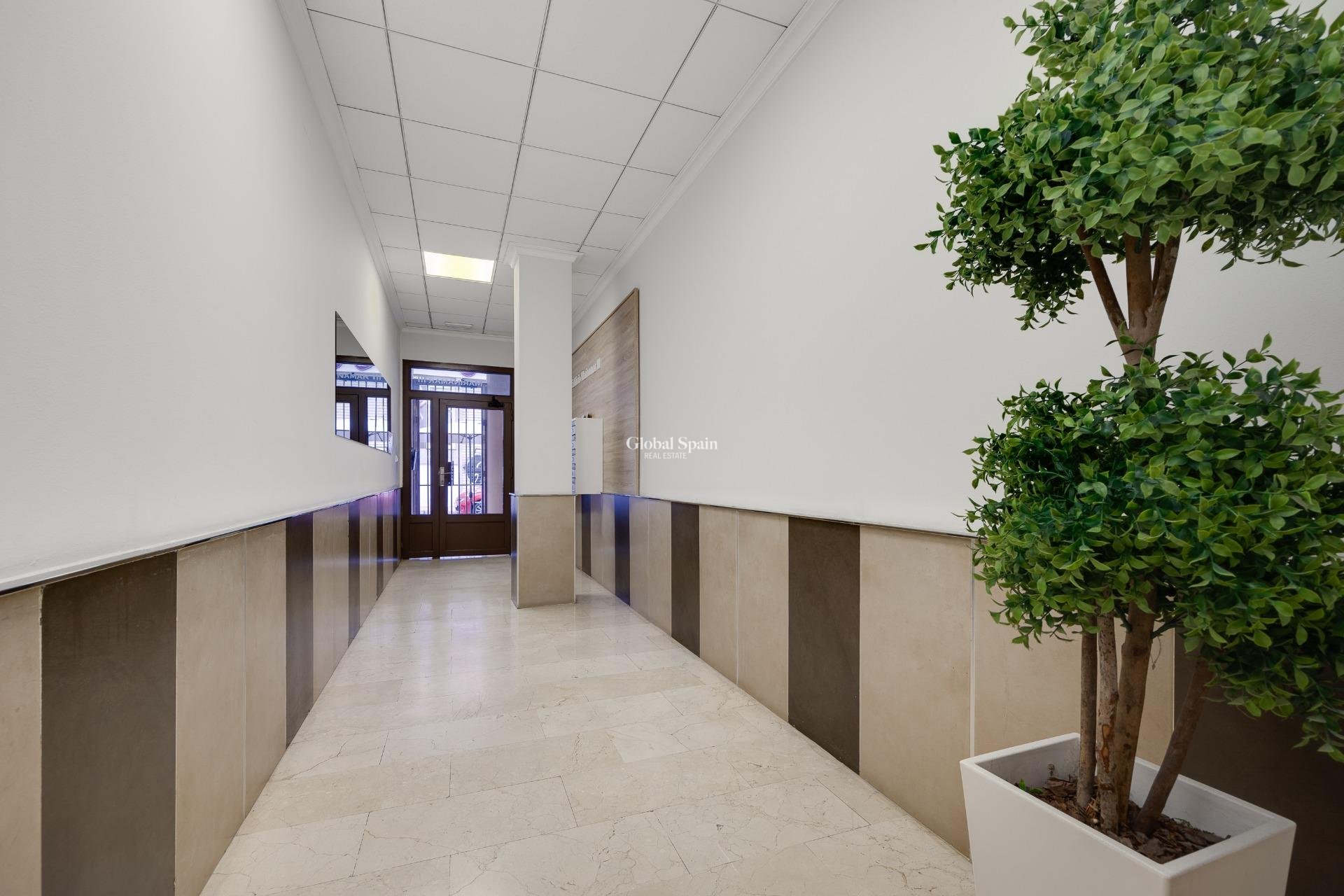 Wederverkoop - APPARTEMENT -
TORREVIEJA - Estacion de autobuses