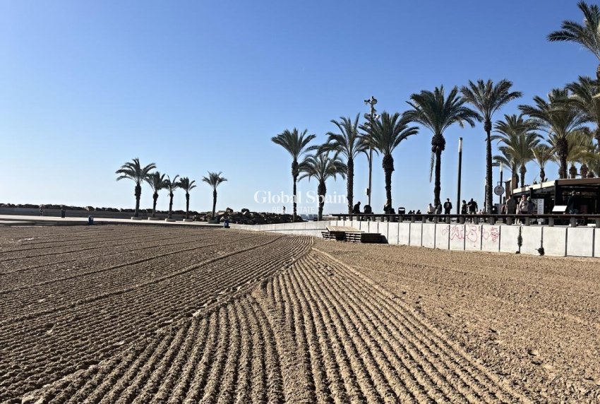 Wederverkoop - APPARTEMENT -
TORREVIEJA - Estacion de autobuses