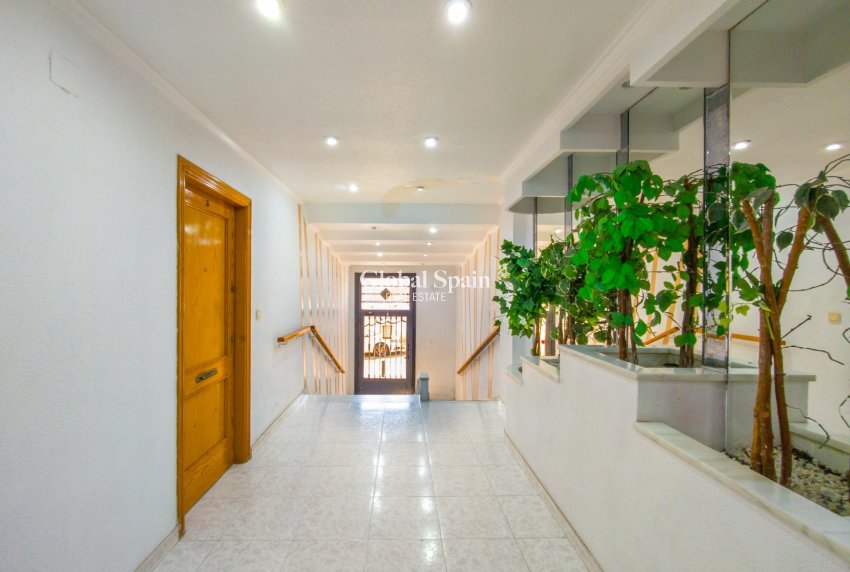 Wederverkoop - APPARTEMENT -
TORREVIEJA - Estacion de autobuses