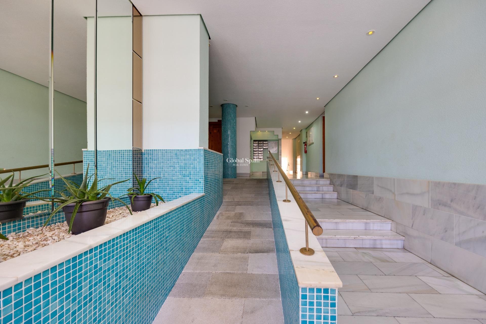 Wederverkoop - APPARTEMENT -
TORREVIEJA - Estacion de autobuses