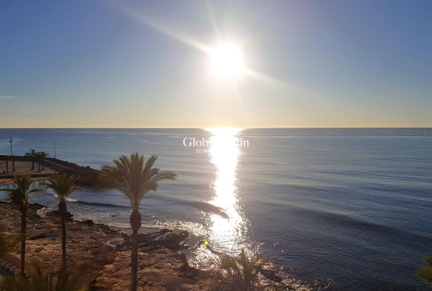 Wederverkoop - APPARTEMENT -
TORREVIEJA - Estacion de autobuses