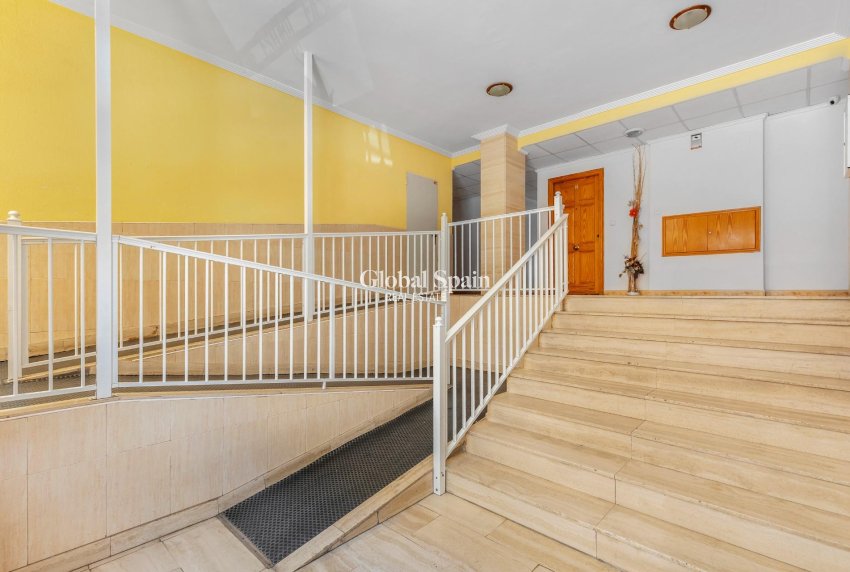 Wederverkoop - APPARTEMENT -
TORREVIEJA - Estacion de autobuses