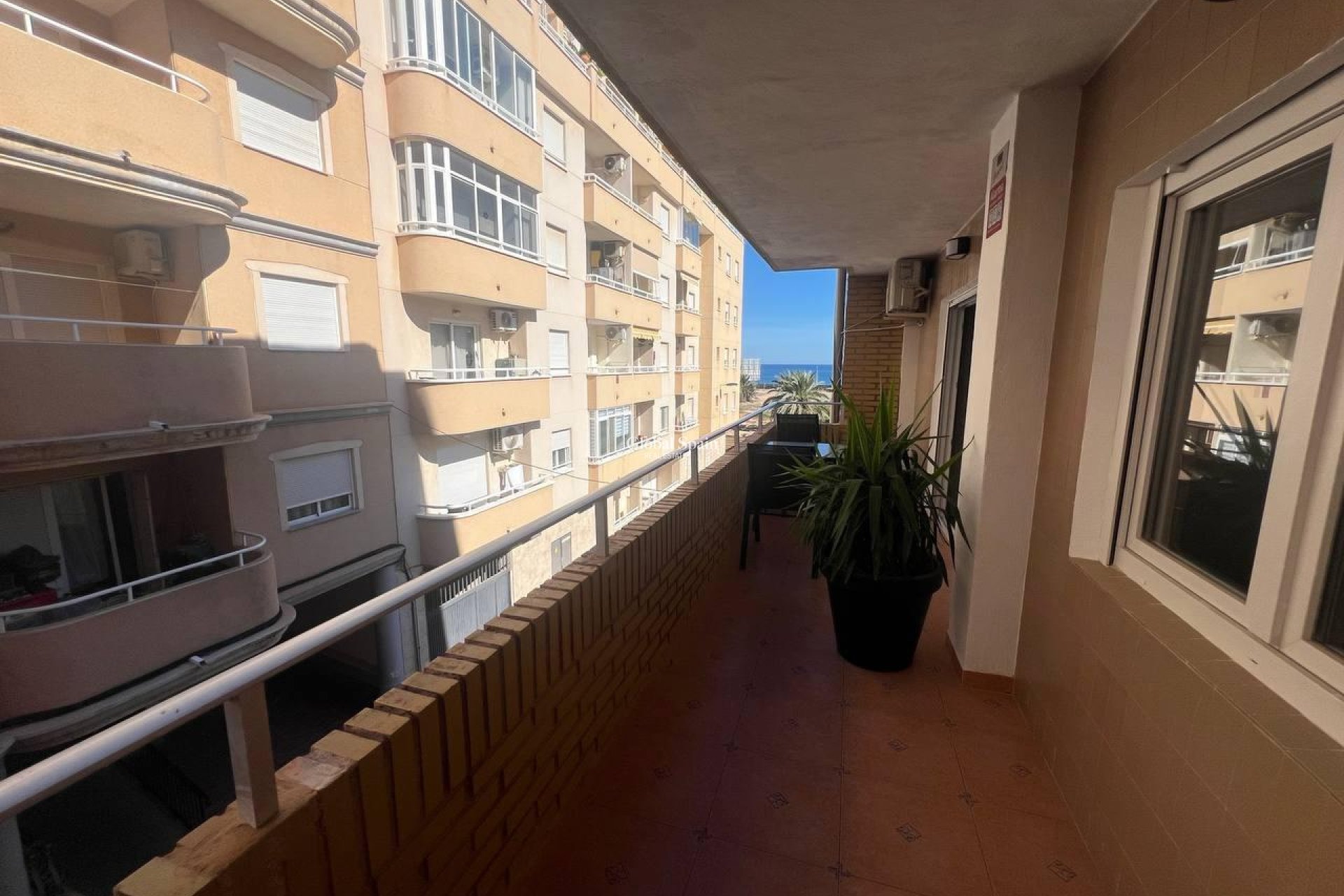 Wederverkoop - APPARTEMENT -
TORREVIEJA - Estacion de autobuses