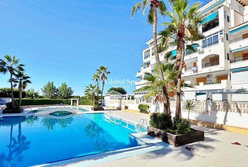 Wederverkoop - APPARTEMENT -
TORREVIEJA - La Mata