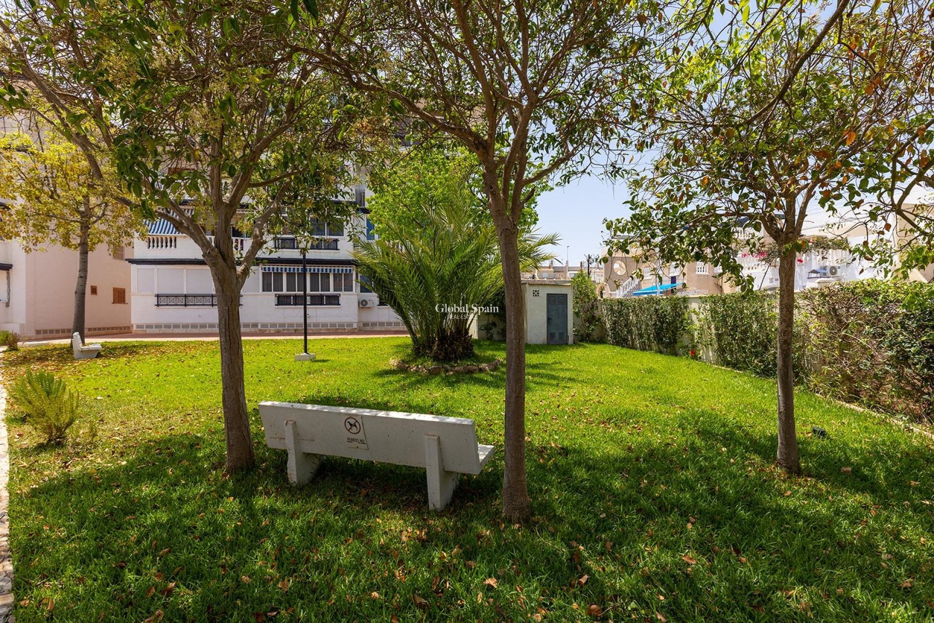Wederverkoop - APPARTEMENT -
TORREVIEJA - La Mata