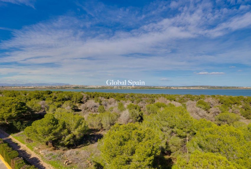 Wederverkoop - APPARTEMENT -
TORREVIEJA - La Siesta - El Salado - Torreta