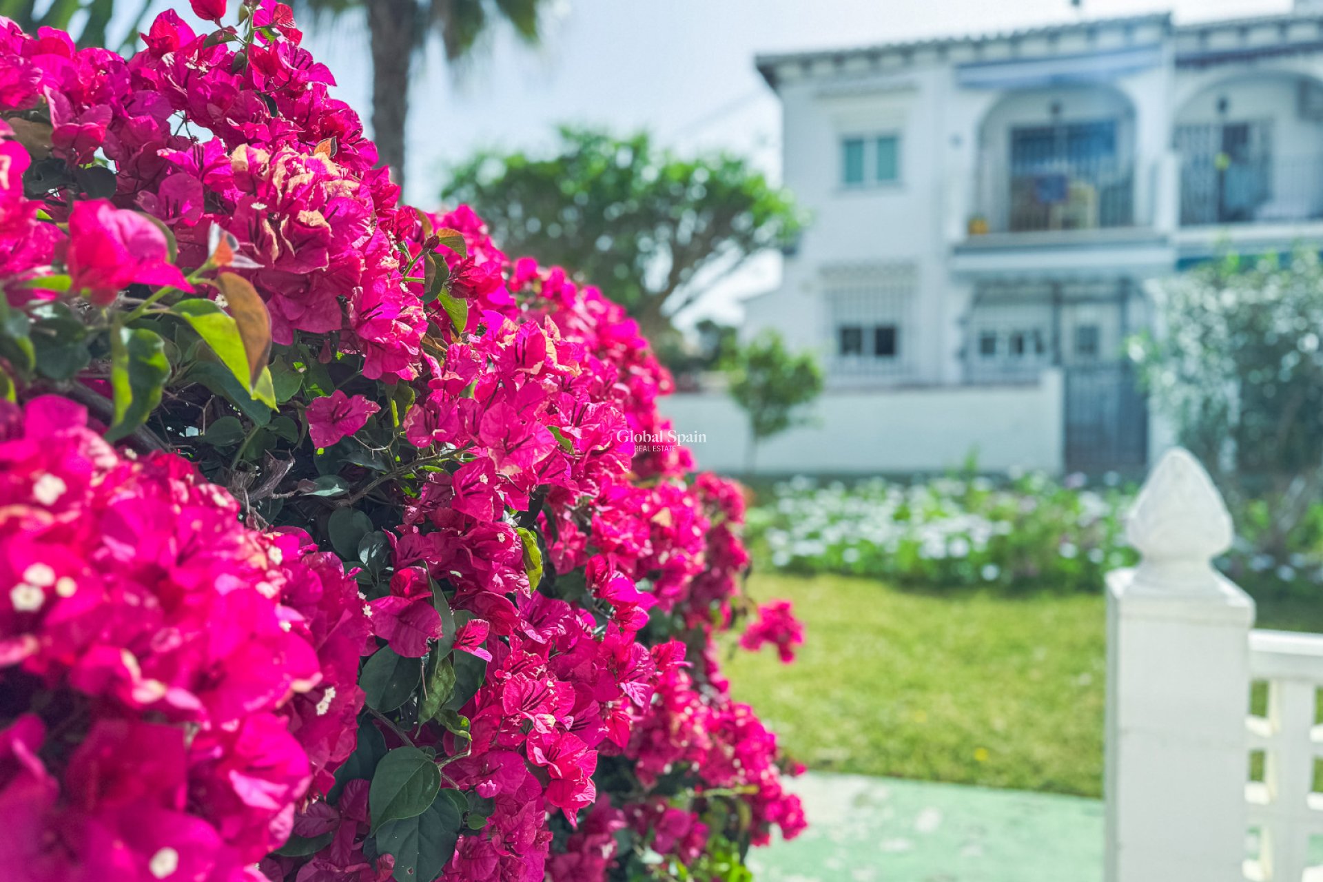Wederverkoop - APPARTEMENT -
TORREVIEJA - Lago jardin
