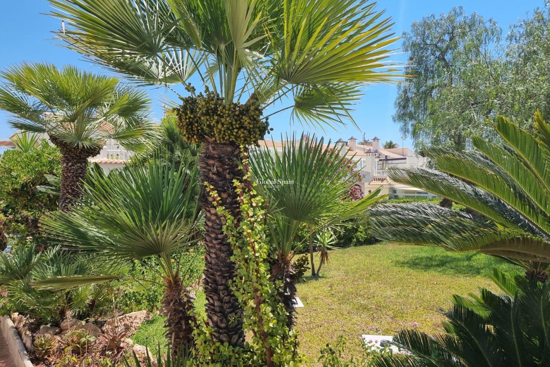 Wederverkoop - APPARTEMENT -
TORREVIEJA - LOS BALCONES - LOS ALTOS