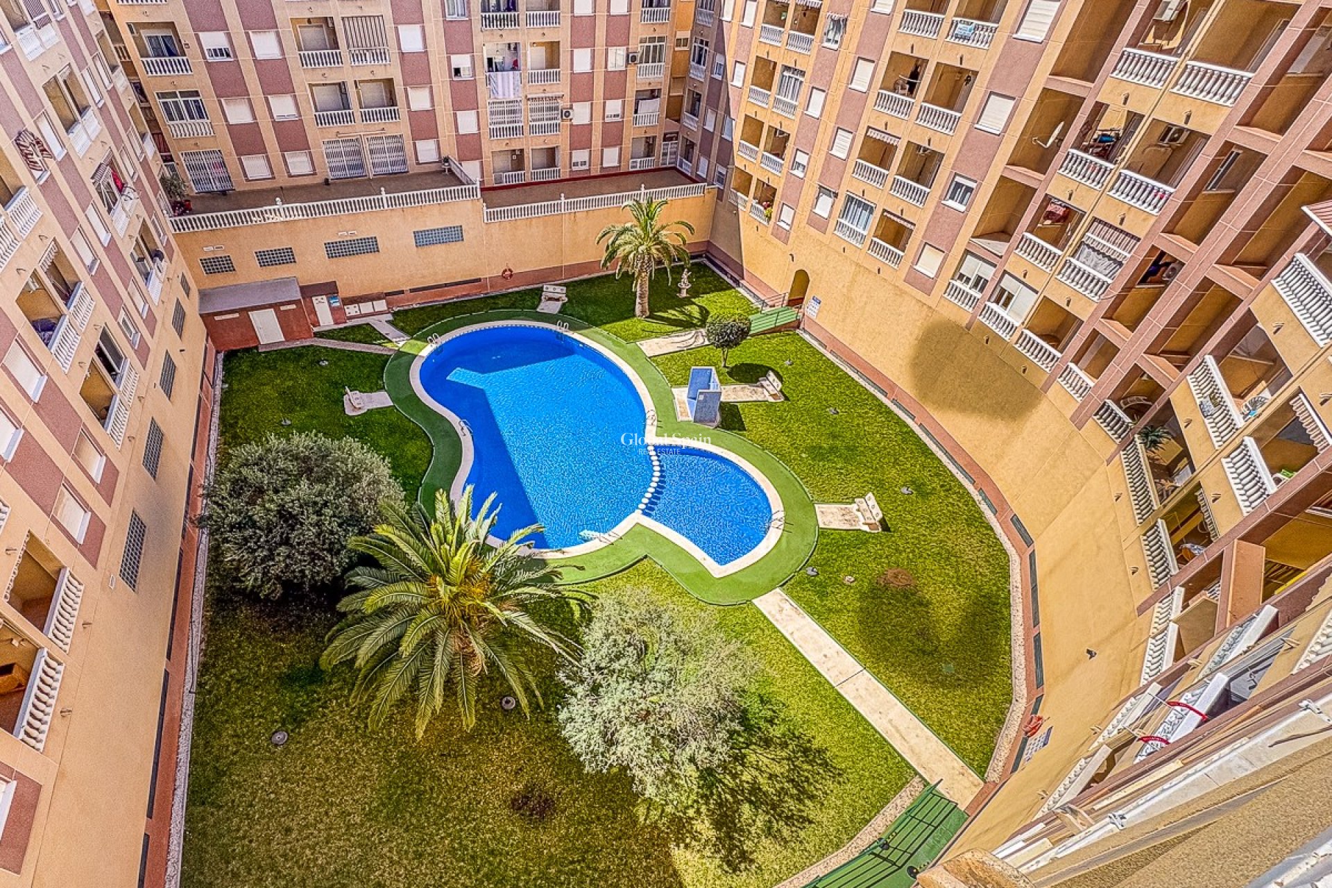 Wederverkoop - APPARTEMENT -
TORREVIEJA - Parque de las Naciones