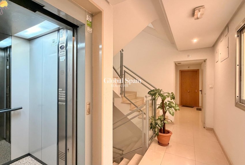 Wederverkoop - APPARTEMENT -
TORREVIEJA - Parque de las Naciones