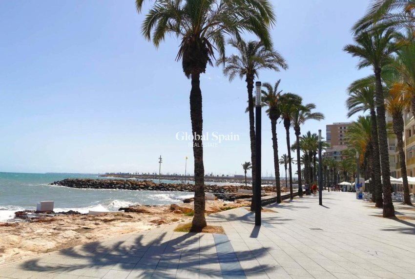 Wederverkoop - APPARTEMENT -
TORREVIEJA - Paseo maritimo